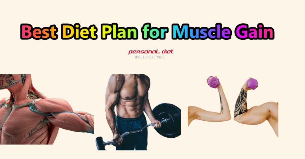 Best Diet Plan for Muscle Gain in India