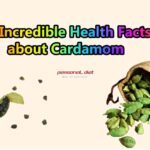 10 Incredible Health Facts about Cardamom (Elaichi)